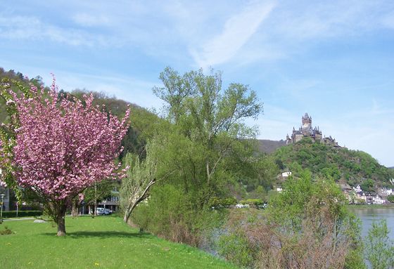 Frühling im Ferienland Cochem