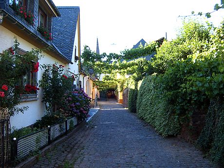 Ortsansicht Mesenich