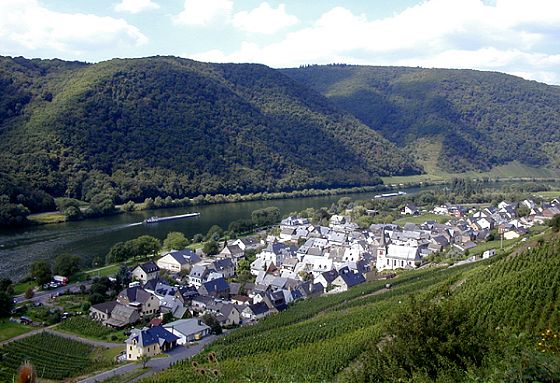 Blick von den Weinbergen auf Mesenich